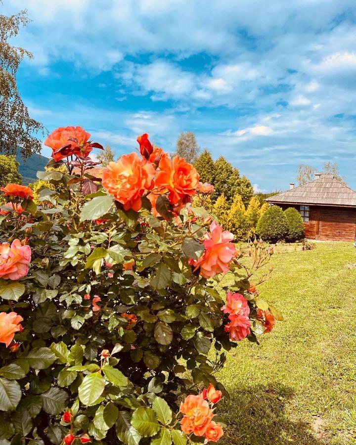 Etno Selo Vranesa Zlatar Hotel Nova Varoš Eksteriør billede